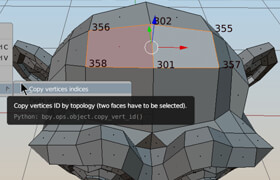 Transfer the vertex order