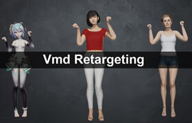 Vmd Retargeting