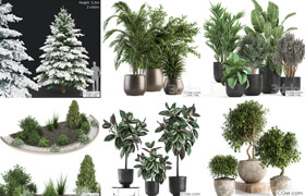 20个3dsky网站的植物和盆栽模型