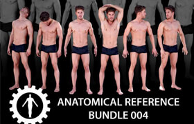 Anatomical Reference Bundle 004  Human-Engine