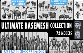 Blender Market - Ultimate Basemesh Collection - 模型