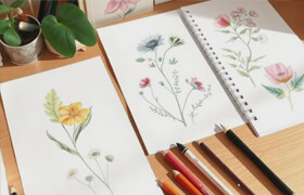 Udemy - Learn To Draw Zen Flowers