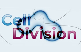 Cell Division